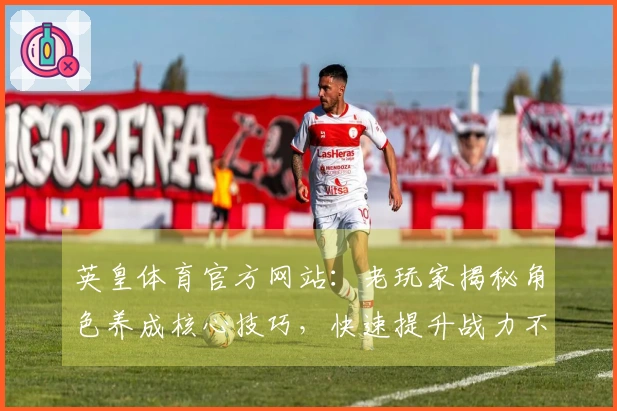 英皇体育官方网站：老玩家揭秘角色养成核心技巧，快速提升战力不再是梦