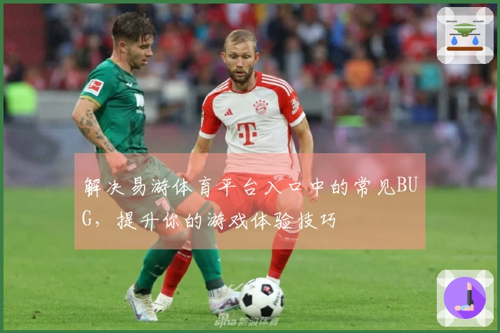 解决易游体育平台入口中的常见BUG，提升你的游戏体验技巧