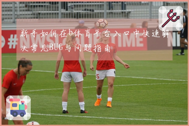 新手如何在b体育平台入口中快速解决常见BUG与问题指南