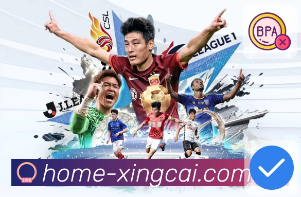 稳定运营认证展示图